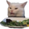 :catwtf: