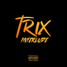 Diddi Trix - Trix Interlude (single)